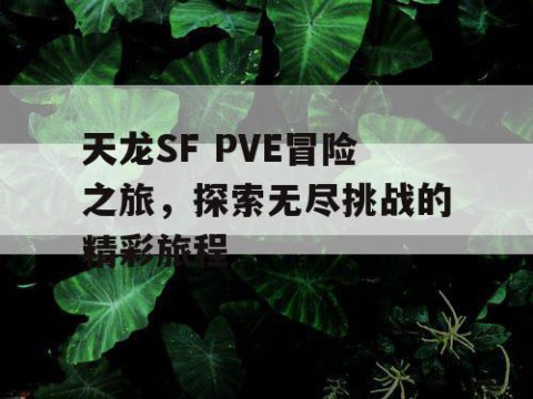 天龙SF PVE冒险之旅，探索无尽挑战的精彩旅程