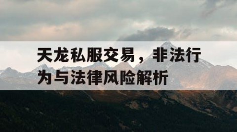 天龙私服交易，非法行为与法律风险解析