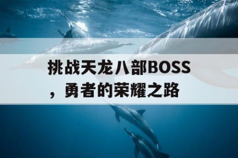 挑战天龙八部BOSS，勇者的荣耀之路