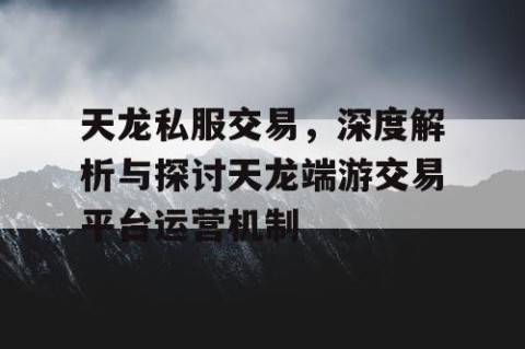 天龙私服交易，深度解析与探讨天龙端游交易平台运营机制