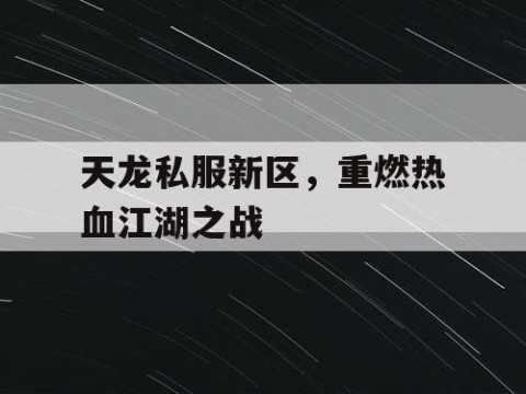 天龙私服新区，重燃热血江湖之战