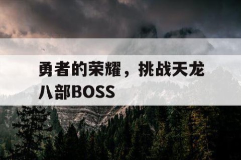 勇者的荣耀，挑战天龙八部BOSS