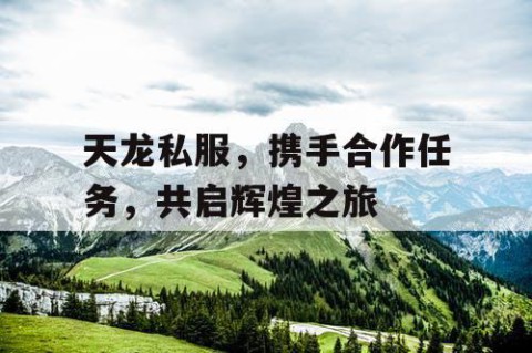 天龙私服，携手合作任务，共启辉煌之旅