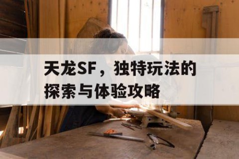 天龙SF，独特玩法的探索与体验攻略