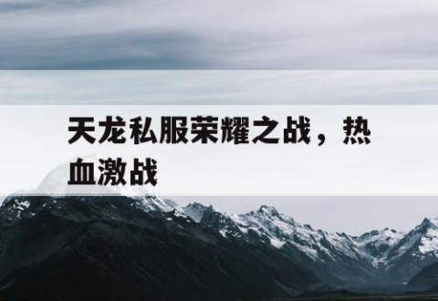 天龙私服荣耀之战，热血激战