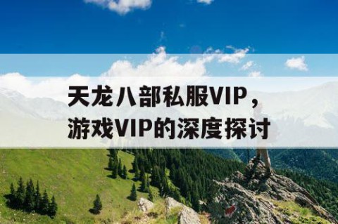 天龙八部私服VIP，游戏VIP的深度探讨