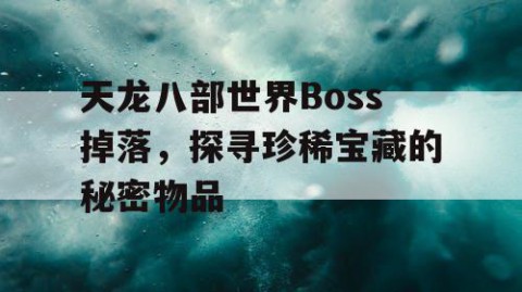 天龙八部世界Boss掉落，探寻珍稀宝藏的秘密物品