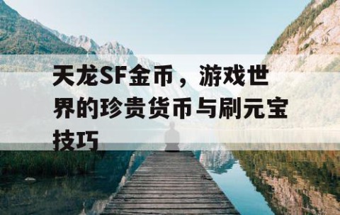 天龙SF金币，游戏世界的珍贵货币与刷元宝技巧