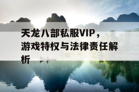 天龙八部私服VIP，游戏特权与法律责任解析