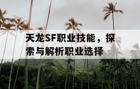 天龙SF职业技能，探索与解析职业选择