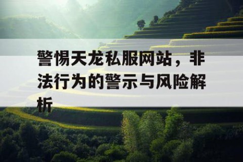 警惕天龙私服网站，非法行为的警示与风险解析