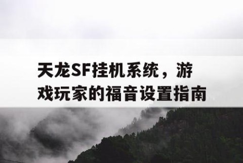 天龙SF挂机系统，游戏玩家的福音设置指南