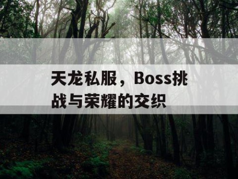 天龙私服，Boss挑战与荣耀的交织