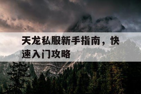 天龙私服新手指南，快速入门攻略