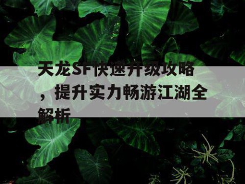 天龙SF快速升级攻略，提升实力畅游江湖全解析