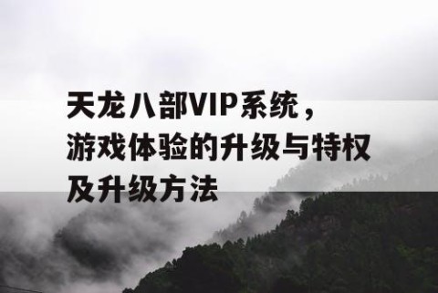 天龙八部VIP系统，游戏体验的升级与特权及升级方法