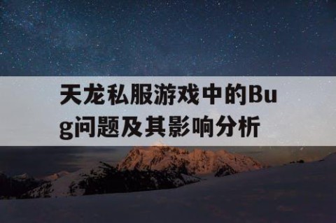 天龙私服游戏中的Bug问题及其影响分析