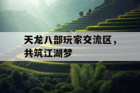 天龙八部玩家交流区，共筑江湖梦