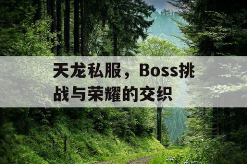 天龙私服，Boss挑战与荣耀的交织