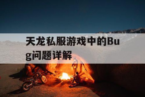 天龙私服游戏中的Bug问题详解