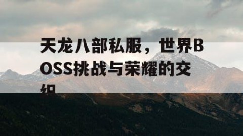 天龙八部私服，世界BOSS挑战与荣耀的交织