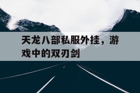 天龙八部私服外挂，游戏中的双刃剑