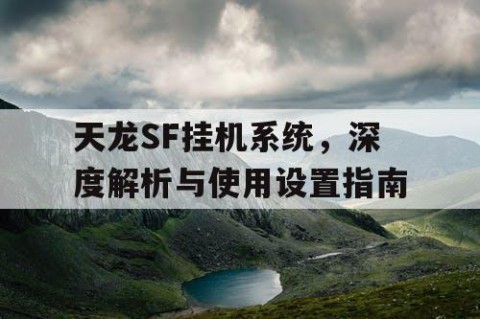 天龙SF挂机系统，深度解析与使用设置指南