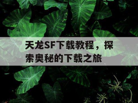 天龙SF下载教程，探索奥秘的下载之旅