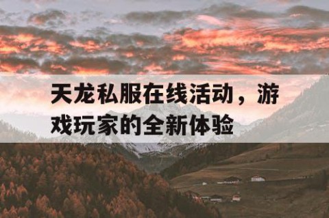 天龙私服在线活动，游戏玩家的全新体验