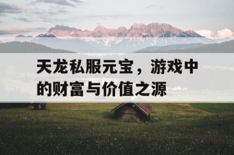 天龙私服元宝，游戏中的财富与价值之源