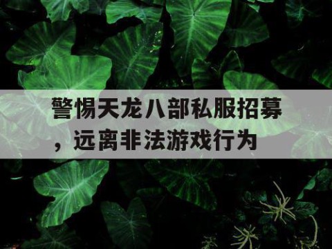 警惕天龙八部私服招募，远离非法游戏行为