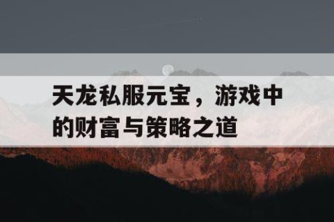 天龙私服元宝，游戏中的财富与策略之道