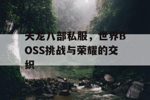 天龙八部私服，世界BOSS挑战与荣耀的交织