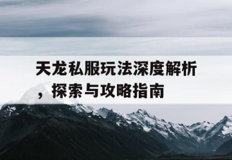 天龙私服玩法深度解析，探索与攻略指南