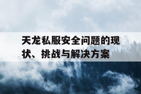 天龙私服安全问题的现状、挑战与解决方案