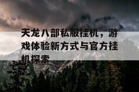 天龙八部私服挂机，游戏体验新方式与官方挂机探索