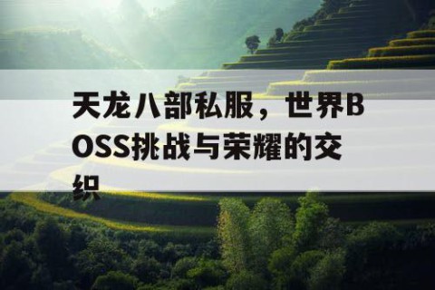 天龙八部私服，世界BOSS挑战与荣耀的交织