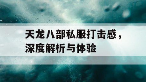 天龙八部私服打击感，深度解析与体验