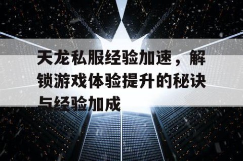 天龙私服经验加速，解锁游戏体验提升的秘诀与经验加成