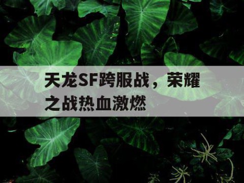 天龙SF跨服战，荣耀之战热血激燃