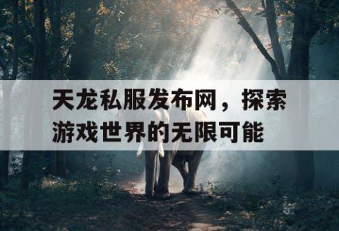 天龙私服发布网，探索游戏世界的无限可能