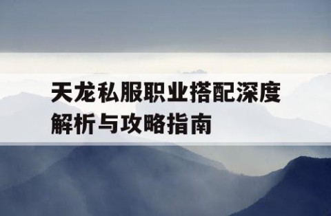 天龙私服职业搭配深度解析与攻略指南