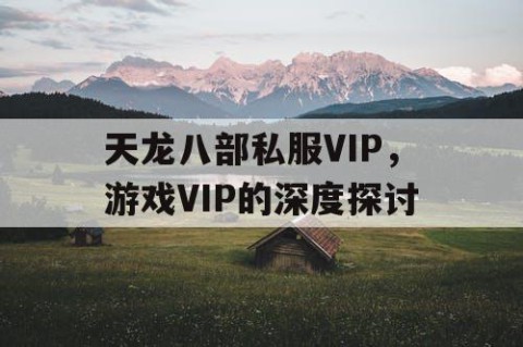 天龙八部私服VIP，游戏VIP的深度探讨