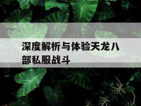 深度解析与体验天龙八部私服战斗