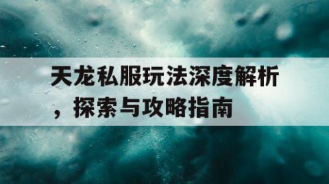 天龙私服玩法深度解析，探索与攻略指南