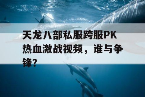 天龙八部私服跨服PK热血激战视频，谁与争锋？