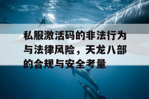 私服激活码的非法行为与法律风险，天龙八部的合规与安全考量