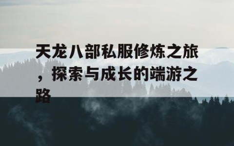 天龙八部私服修炼之旅，探索与成长的端游之路