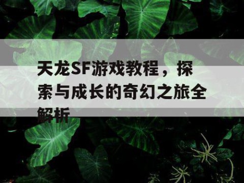 天龙SF游戏教程，探索与成长的奇幻之旅全解析