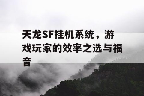 天龙SF挂机系统，游戏玩家的效率之选与福音